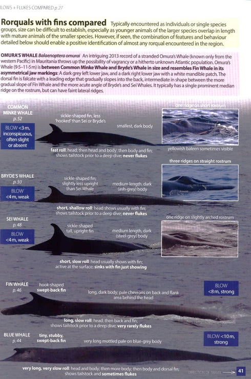 Europe's Sea Mammals - Still, R. ym. 2019